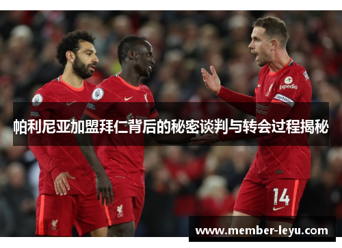 帕利尼亚加盟拜仁背后的秘密谈判与转会过程揭秘