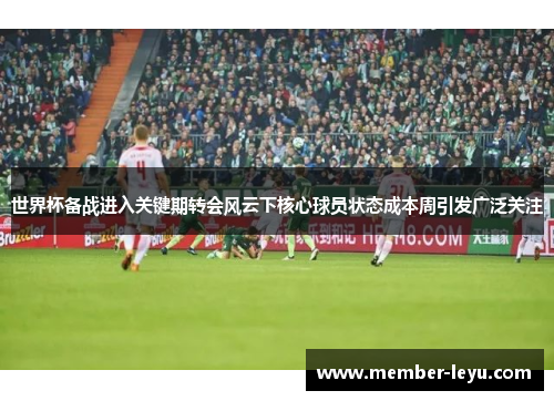 世界杯备战进入关键期转会风云下核心球员状态成本周引发广泛关注 世界杯备战进入关键期转会风云下核心球员状态成本周引发广泛关注